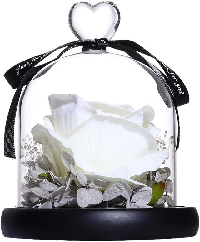 jiulonerst Eternal Rose in Glass Dome Romantic Rose