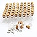 LEFV Mini Cork Top Glass Bottle Vial Charm Kit 3/4 Inch - 50pcs 0.5ml Clear Bottles with Corks & 50pcs Eye Screws - Miniature Empty Sample Jars Message Bottle Small Tiny Size