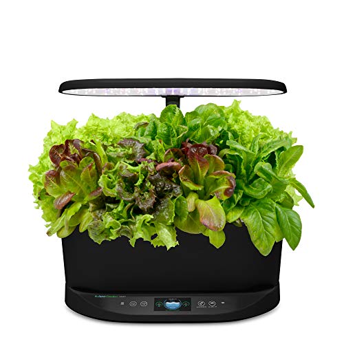 Jardín hidropónico interior AeroGarden Black Bounty