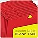 Globe-Weis/Pendaflex Colored Expansion File, Open Top, 21 Pockets, A to Z Tabs, Letter Size, Red (17A-RED)