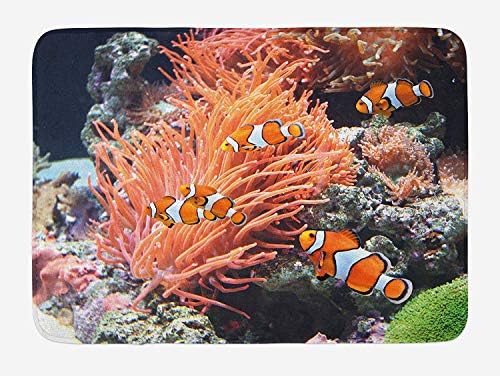 Fish Bath Mat, Striped Sea Anemone Clown Fishes Near a Rock Algae at Depth Pacific Animals Image, Plush Bathroom Decor Mat with Non Slip Backing, 29.5 W X 17.5 W Inches, Orange Grey