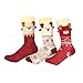 Women's Christmas Holiday Cotton Soft Casual Warm Socks (3 Pairs) Multicolor