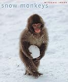 Snow Monkeys