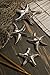 IMAX 64102-4 Cortland Silver Starfish-Set of 4
