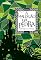 Livro A maldição da pedra (Reckless Livro 1)