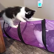 jackson galaxy cat crawl tunnel