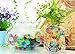 Water Beads 18 oz (over 62,000 beads!!) For Kids Sensory Experience, Toy Guns with Bullet Beads[Rainbow Mix], Party Decoration and Watering plant