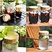 Timber Tops - Bamboo Wood Regular-Mouth Mason Jar Storage Lids with Silicone Seal - 3 Pack - Regular