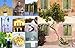 Great Escapes: Italy