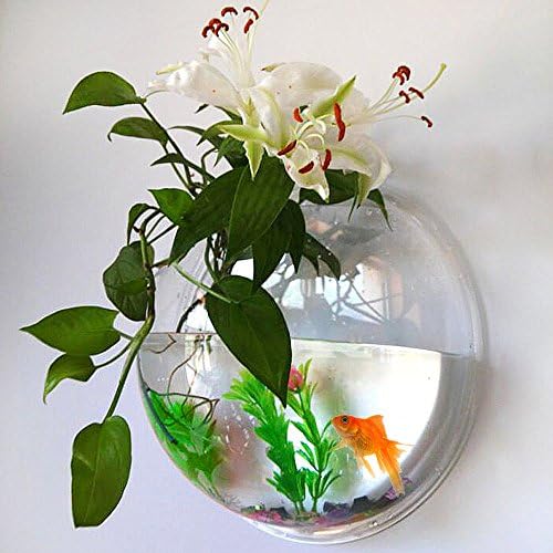 Fish Bowl Acrylic - Fish Bubble Wall Mounted Aquarium Bowl Hanging Pet Fish Tank By UniqCollection - Holds up to Approx 0.7 Gallon Water - Fake Plant and Stone Decoration Included