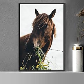 signwin Framed Canvas Wall Art Horse Animals Dramatic...