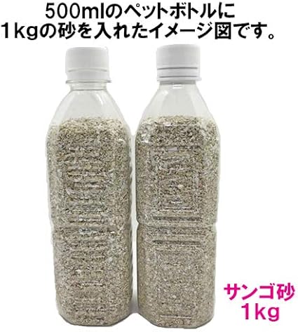 安心安全 国内産 沖縄の砂 サンゴ砂 1kg りゅうか商事 底床 通販 Amazon