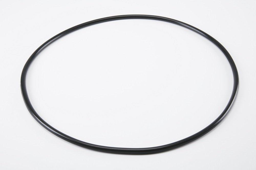 Pentair 39010200 Tank Clamp O-Ring Replacement Pool and Spa Filter: Garden & Outdoor