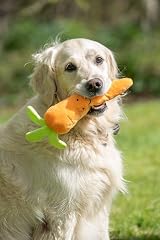 Petface Foodie Faces Fluffy Carrot Dog Toy with Squeaker view 4
