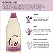 Q Ginger Beer, Premium Ginger Beer: Real Ingredients & Less Sweet , 500 mL, 6 Bottles