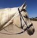 English Leather Crossover / Crossunder Bitless Bridle Headstall with Reins (Brown, L)