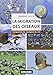 MIGRATION DES OISEAUX (LA) (GUIDES SUD OUEST - NATURE) (French Edition) by
