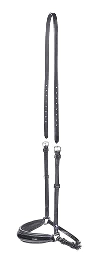 Busse Reithalfter Savona-Lack