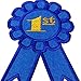 First Place Award Ribbon Embroidered Badge Iron On Sew On Patch