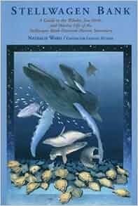 Stellwagen Bank A Guide To The Whales Sea Birds And