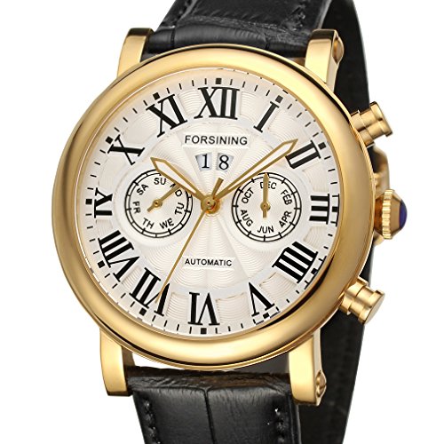 Forsining Men s Luxury Brand Calendar Automatic Wrist Watch AFSG9407M3G1