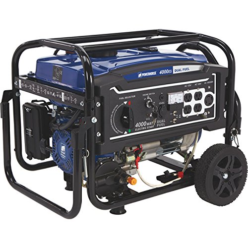 Powerhorse Dual Fuel Generator with Electric Start - 4000 ...