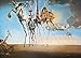 EuroGraphics Salvador Dalí The Temptation of St. Anthony Puzzle (1000 Piece) , White