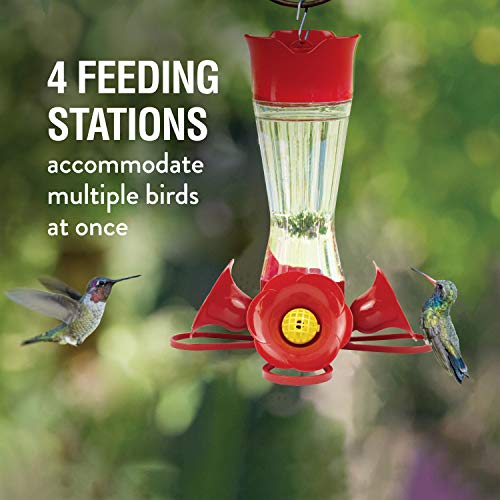 PerkyPet 203CPBN2 PinchWaist Glass Hummingbird Feeder With Perches