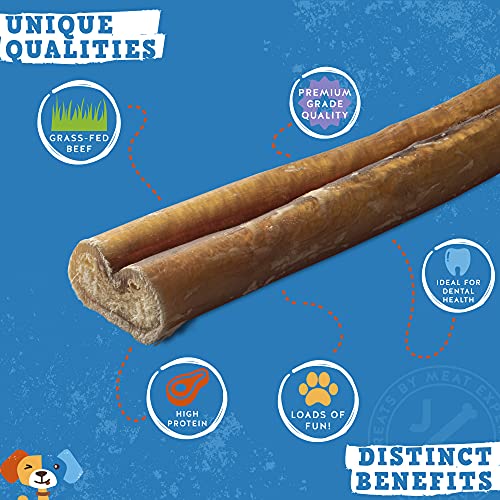 Jack & Pup 6inch Premium Grade Odor Free Bully Sticks Dog Treats (50