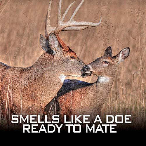 RAW Frozen Scents Peak Standing Doe Estrus Buck Attractant Whitetail