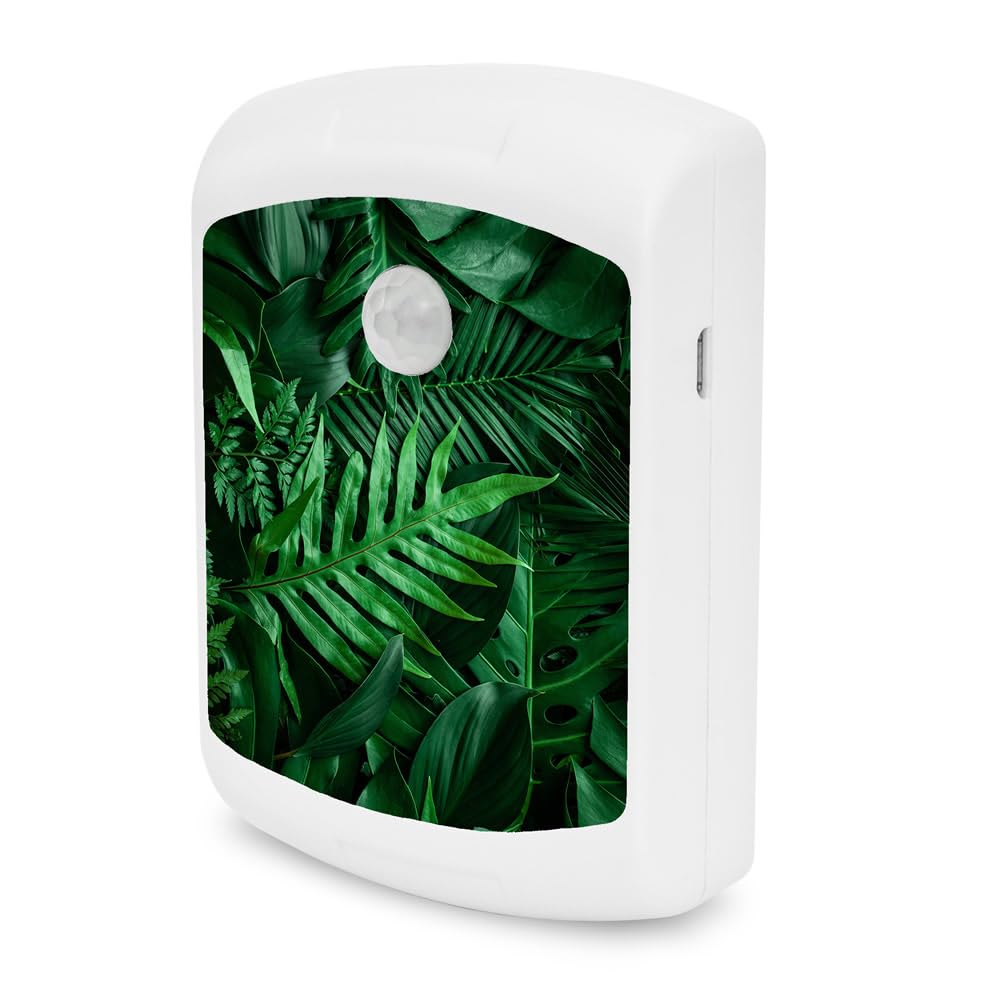 Talking Products, Motion Activated Sound Box with 4 Minutes of Pre-Recorded Relaxing Nature Sounds, Birdsongs, and Calming Music. Sound Therapy and Sleeping Aid (Rainforest)