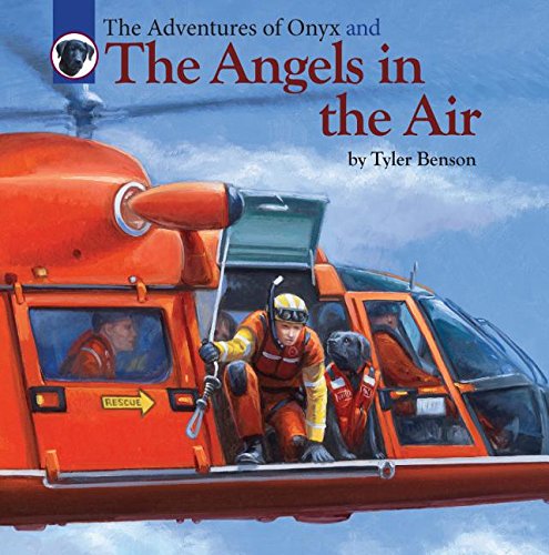 The Adventures of Onyx and The Angels in the Air