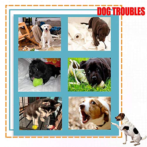 AWOOF 10 Pack Hundespielzeug Welpenspielzeug Hund Quietschspielzeug, Welpen Zahnen Spielzeug, Haustier Hund Plüsch… – Bild 6