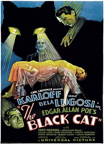 24"x30" Decorative Movie Poster.The Black Cat.Bela Lugosi.Karloff.12341
