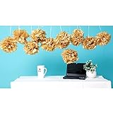 Wisehands Gold Tissue Pom Poms for Wedding, Party, Birthday and Baby Showers Decoration, Set of10