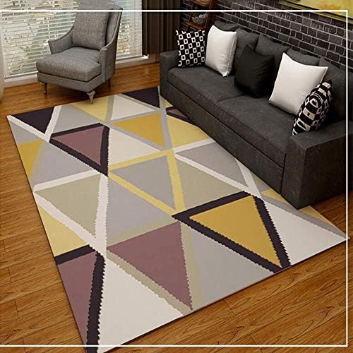 Carpet Mat Indoor Modern Living Room with Home Decoration, Hand Washable Carpet, Suitable for Bedroom Living Room, Gym, Gym, Etc,200x300cm