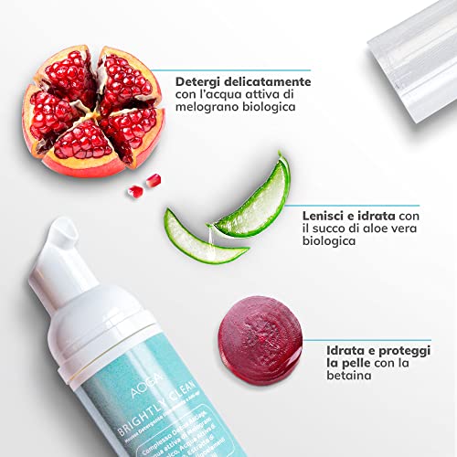 Skincare Korean Total Care Kit – For Combination, Oily or Acneica Skin: Balances with Cleansing Mousse, Tonic, Vitamin C Serum and Purifying Cream – Organic Beauty at Your Service