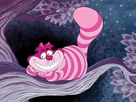 Amazon.com: Disney Cheshire Cat 60x80cm Canvas Print, Multi-Colour, 60