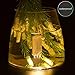 10 Pack LED Paper Lantern Lights YUNLIGHTS Waterproof Battery Operated Lights with 3 LEDs for Balloons Wedding Birthday Party Decoration, Warm White