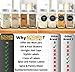 16 Glass Spice Jars Complete Set: 667 Chalkboard & Clear Printed Spice & Pantry Labels - Premier 8 fl Oz Empty Square Bottles w/ Pour/Sift & Coarse Shakers & Airtight Caps - Silicone Funnel Included