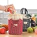 Paymenow Thermal Insulated Lunch Box Cooler Bag Tote Bento Pouch Lunch Container Handbag(Black)