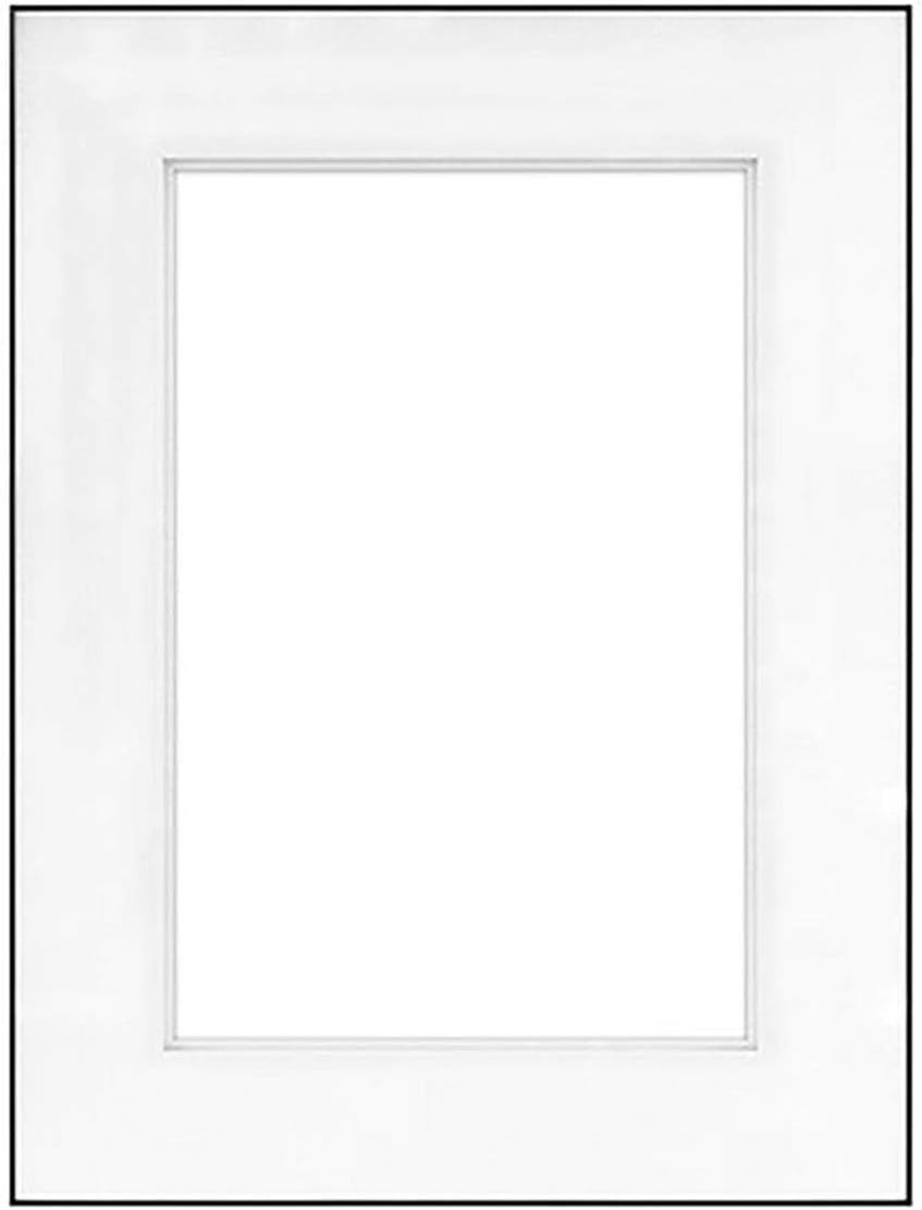 Fineline Picture Frame Color: Black, Size: 18" x 24" Frame/13" x 19" Shadow Mat