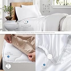 AIREOLUX Egyptian Cotton Queen Bed Sheets Set Light