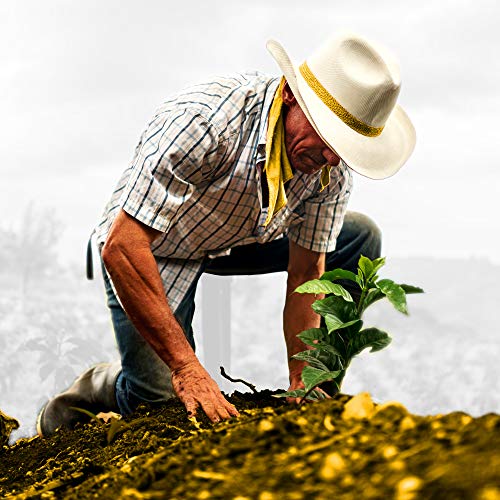 Dresdner Espresso - Kaffeebohnen, Espressobohnen aus biologischem Anbau / fair gehandelter Espresso Kaffee / rauchig… – Bild 8