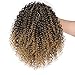 Vigorous Afro Kinky Curly Drawstring Ponytail Extension with Curly Ponytail Hair Piece for Black Women Ombre Blonde Synthetic Hairpiece(1-27#)