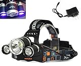 WINDFIRE 3X CREE LED (1x Cree T6 White LED and 2 x UV LEDs) 4 Modes 395-410nm UV-Ultraviolet Led Tactical Headlamp 18650 Rechargeable Battery(Included) Headlight with Features Money Detector