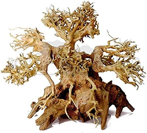 SevenSeaSupply Dragon Driftwood - Bonsai Driftwood Aquarium Tree - Aquascaping Driftwood - Fresh Water Aquarium Driftwood Tree (4" High x 6" width)