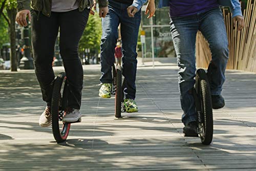 Inventist Lunicycle A New and Improved Design of Our Standing Unicycle!