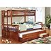 Furniture of America Pammy Twin over Queen Bunk Bed, Oak