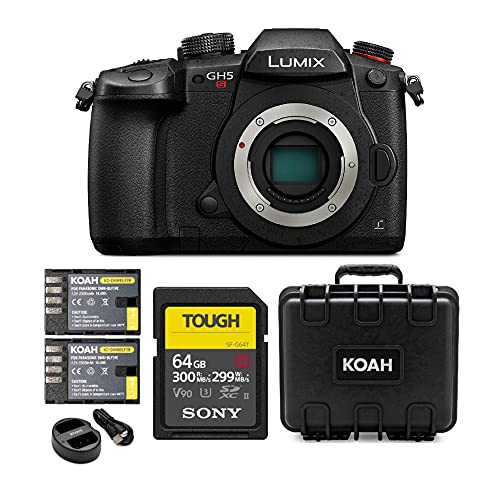 Sony Gh5s Sony A7iii Sony Gh5s Panasonic Sony A7iii Spec Sony